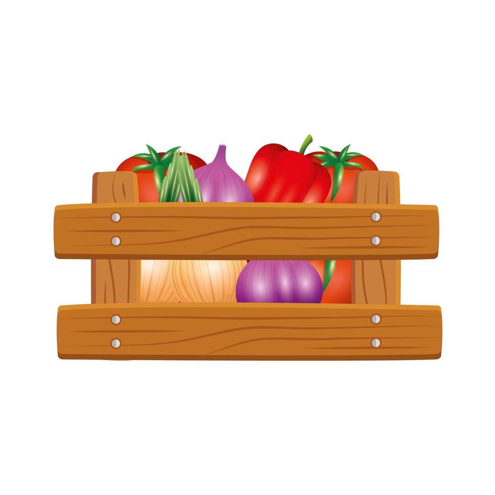 Isolated vegetables inside box vector design