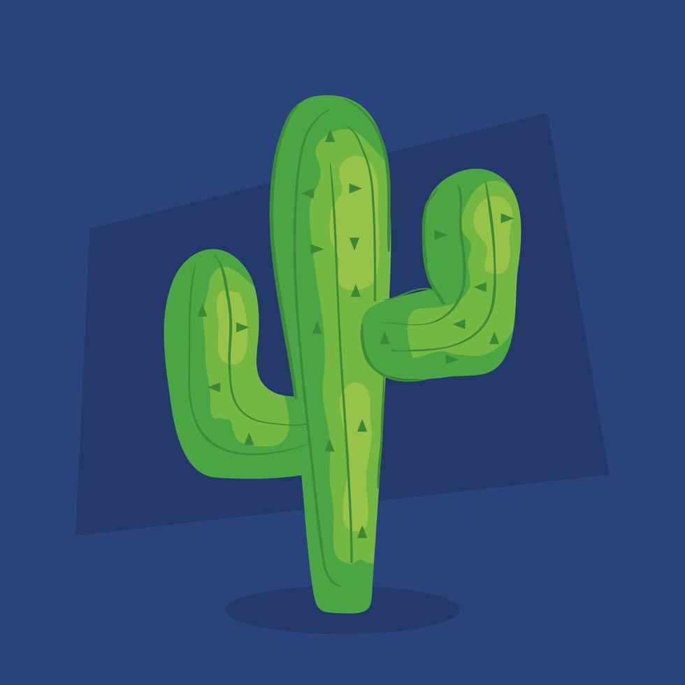 cactus plant nature on blue background vector