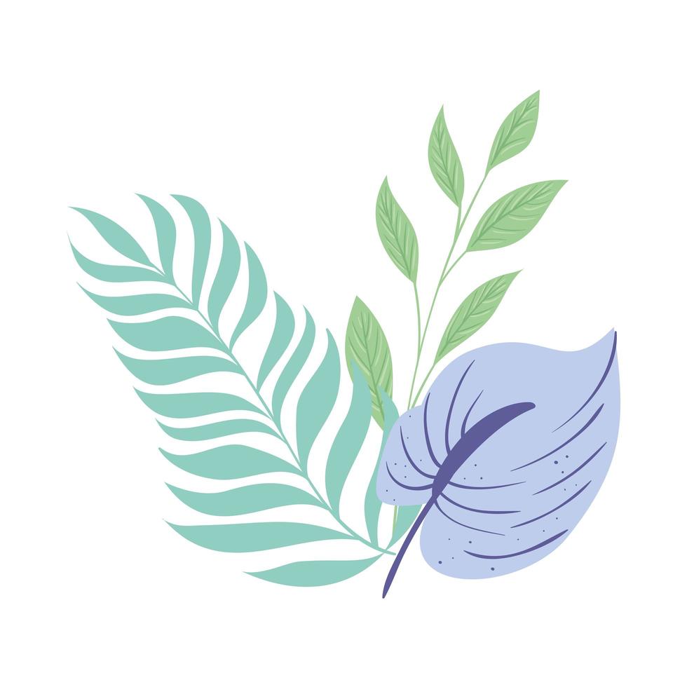 tropical branches with leaves pastel color on white background vector