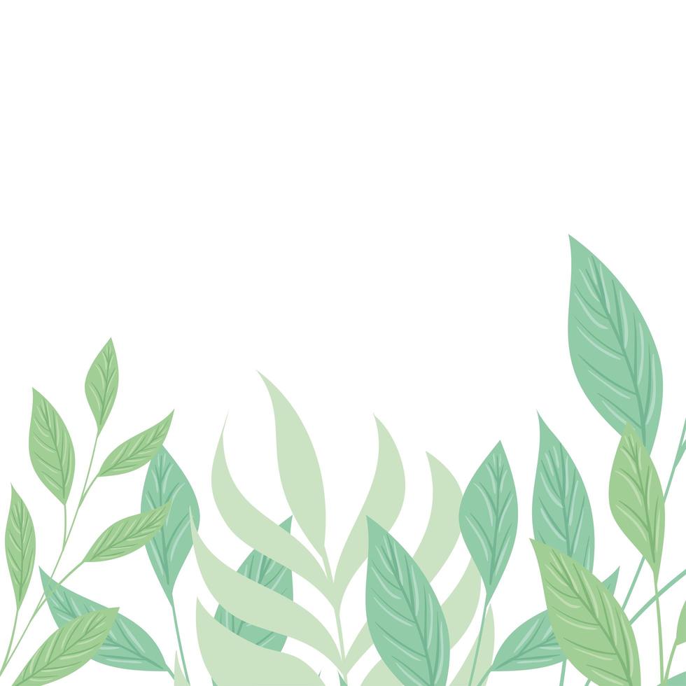 decoration of tropical branches and leaves pastel color on white background vector