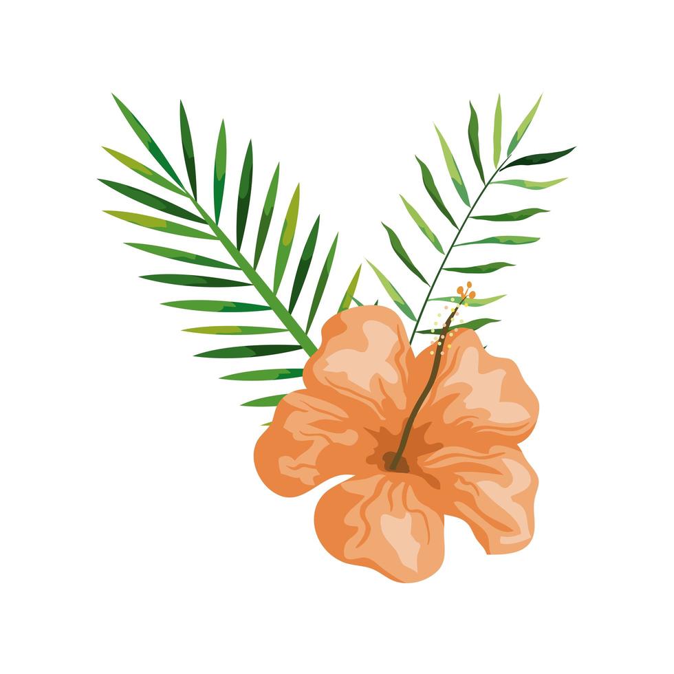 hibisco con ramas y hojas, naturaleza tropical, botánica primavera verano vector