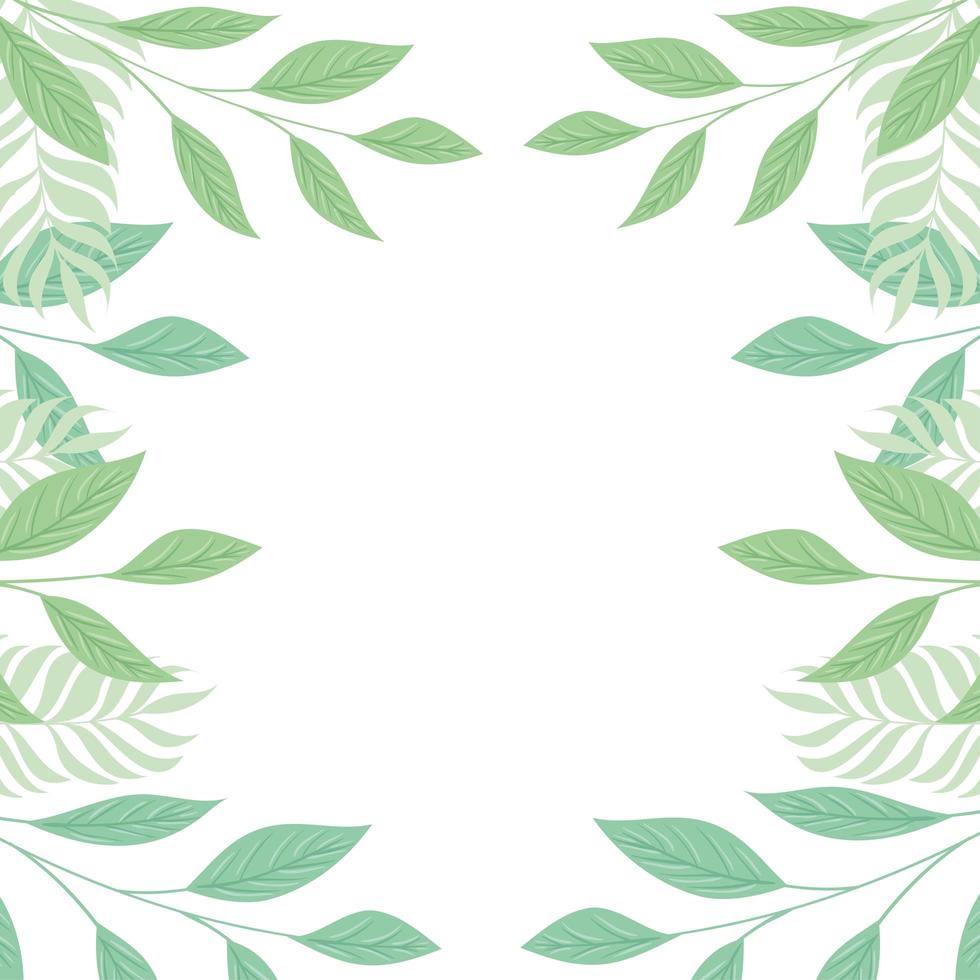 frame of tropical branches and leaves pastel color on white background vector