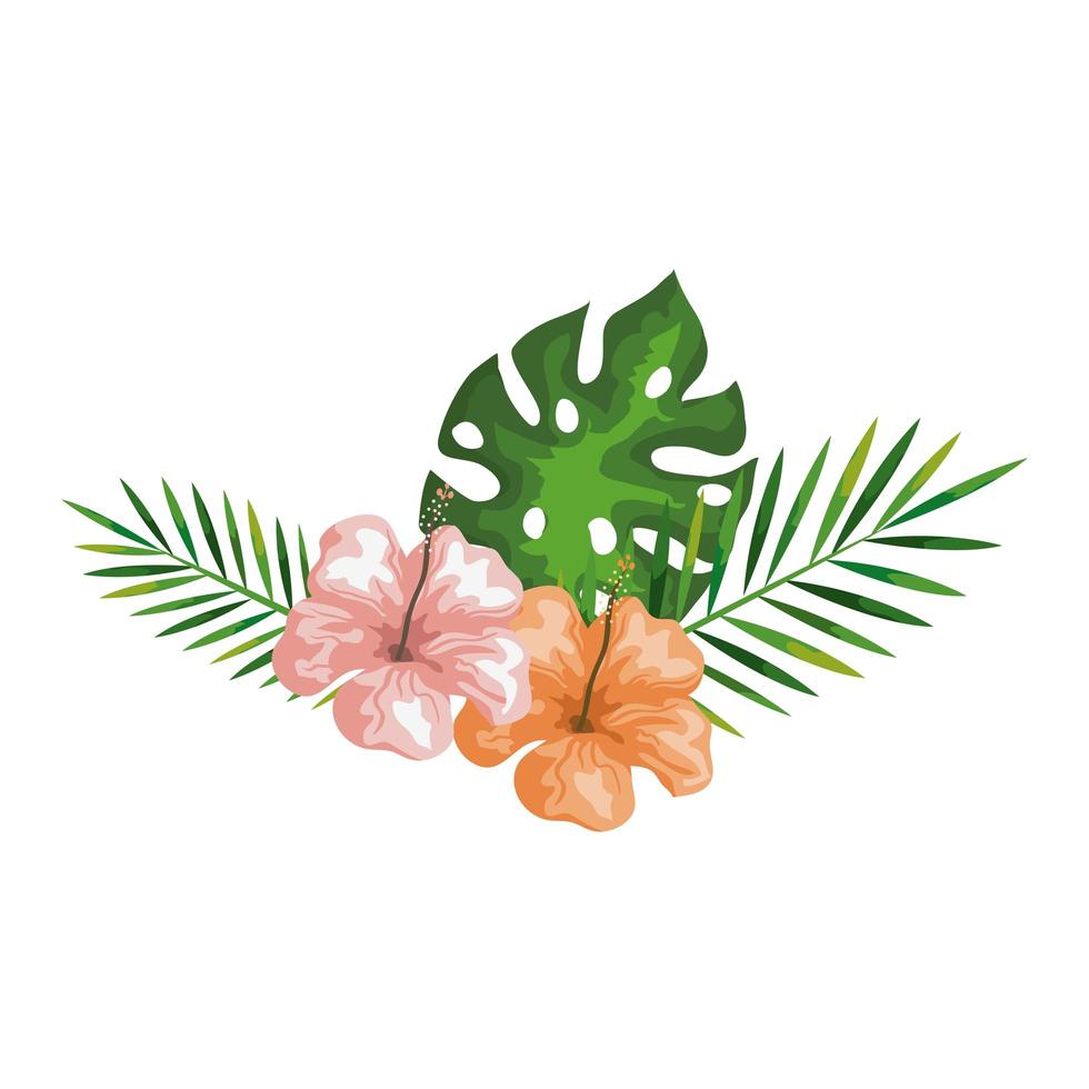 flores de hibisco con ramas y hojas, naturaleza tropical, botánica primavera verano vector