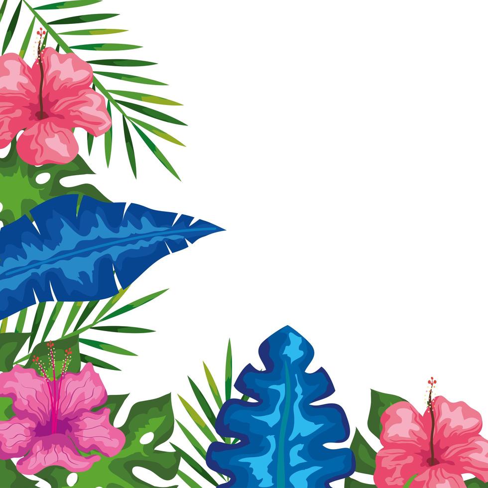 decoration of hibiscus flowers with branches and leaves, tropical nature, spring summer botanical vector