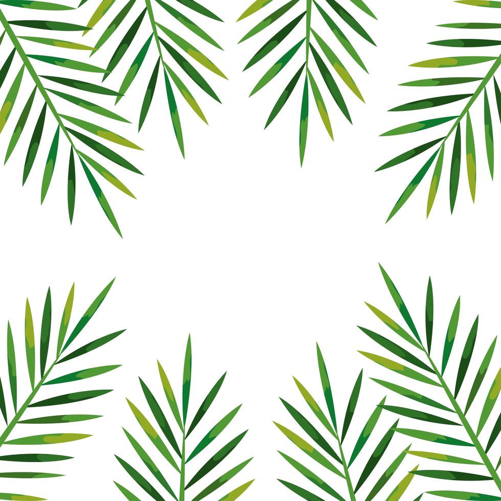 frame of branches with leaves tropical, nature concept vector