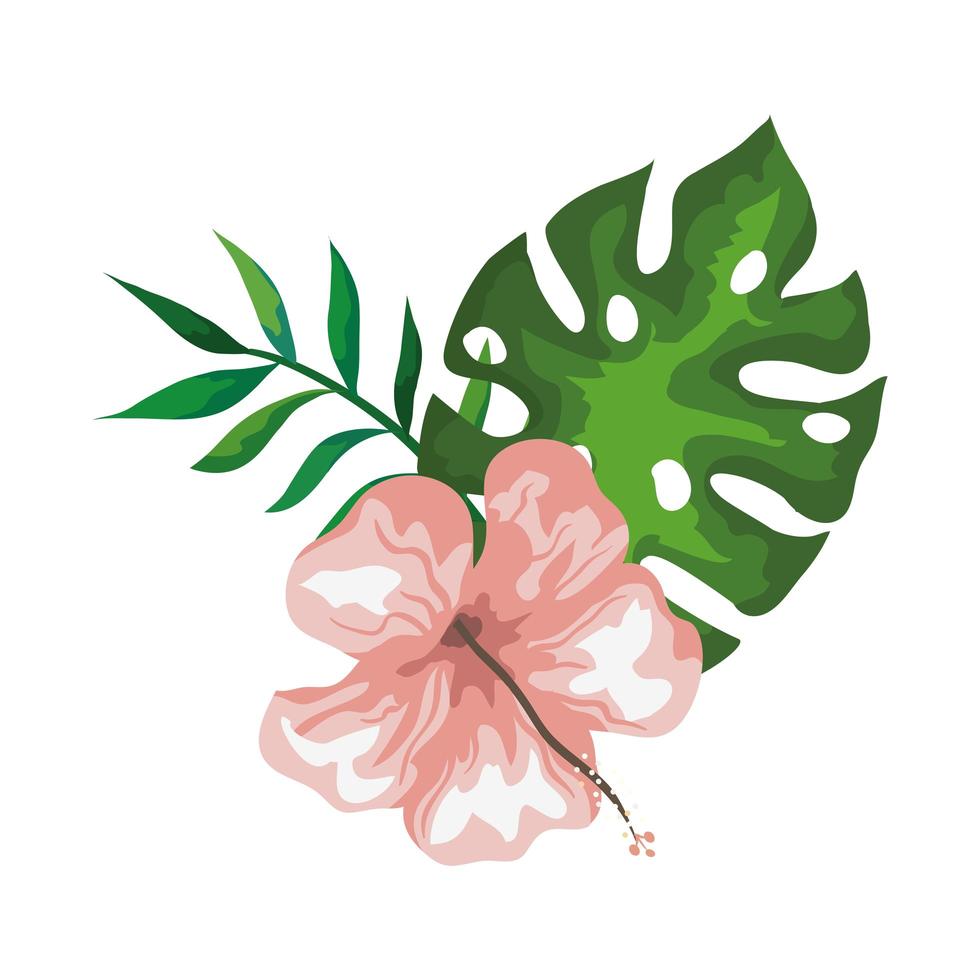 hibiscus with branch and leaves, tropical nature, spring summer botanical vector