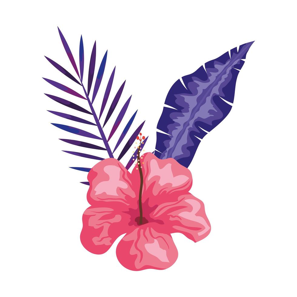 hibiscus beautiful pink color with branches and leaves, tropical nature, spring summer botanical vector