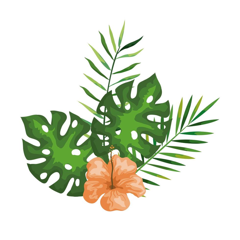 hibisco con ramas y hojas, naturaleza tropical, botánica primavera verano vector