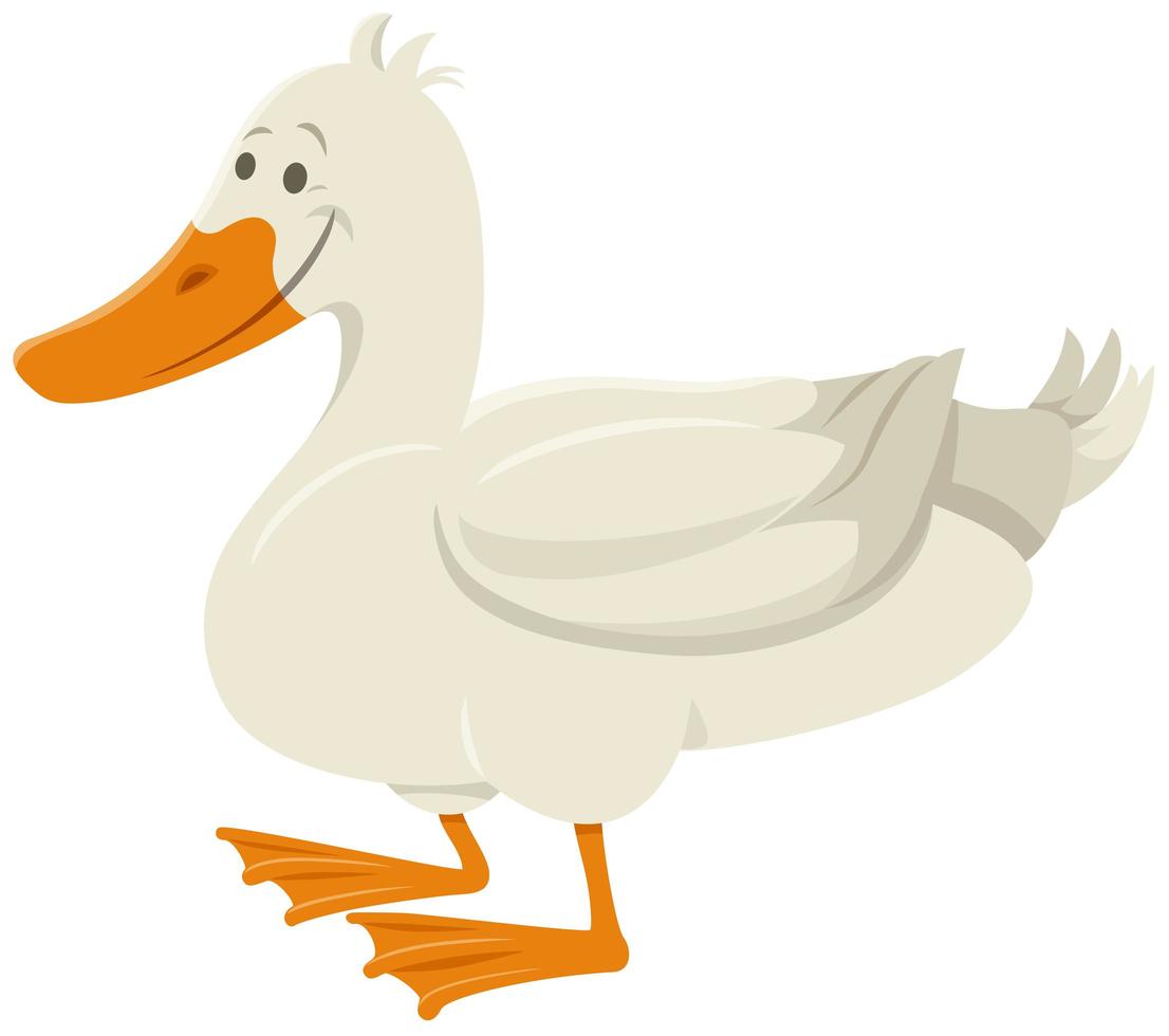 cartoon duck bird farm animal character vector