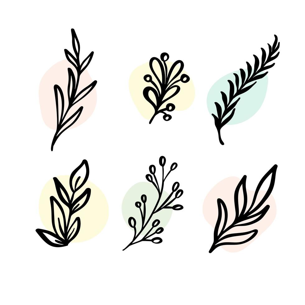 vector set elementos botánicos - flores silvestres, hierbas. colección de jardín y follaje silvestre, flores, ramas. Ilustración plantas aisladas sobre fondo blanco.