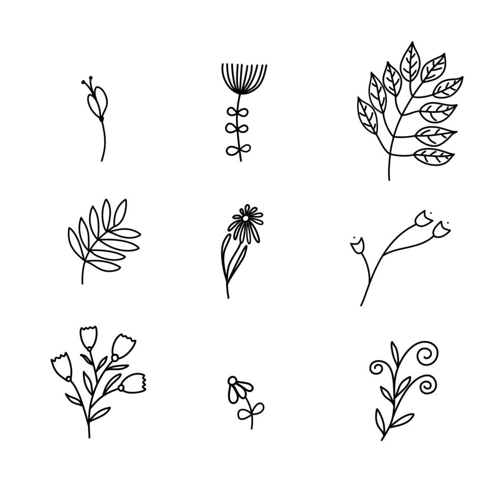 conjunto de bocetos vectoriales y logotipo de garabatos de línea. elementos de diseño dibujados a mano aislados flores, hojas, hierbas para estampados de decoración, etiquetas, patrones. libro para colorear ilustracion vector