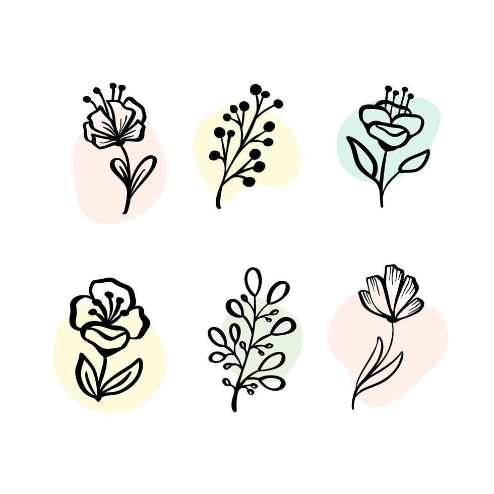 vector set elementos botánicos - flores silvestres, hierbas. colección de jardín y follaje silvestre, flores, ramas. Ilustración plantas aisladas sobre fondo blanco.