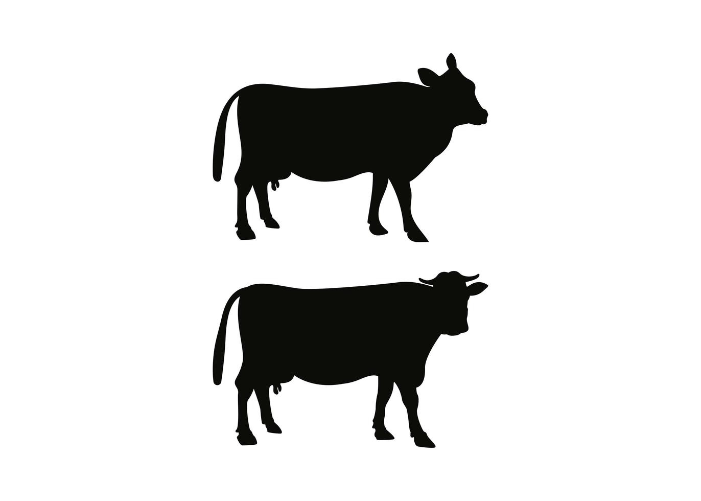 vaca icono diseño plantilla vector ilustración aislada