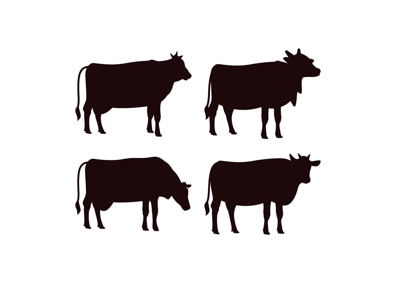 Cow icon design template vector isolated illustration