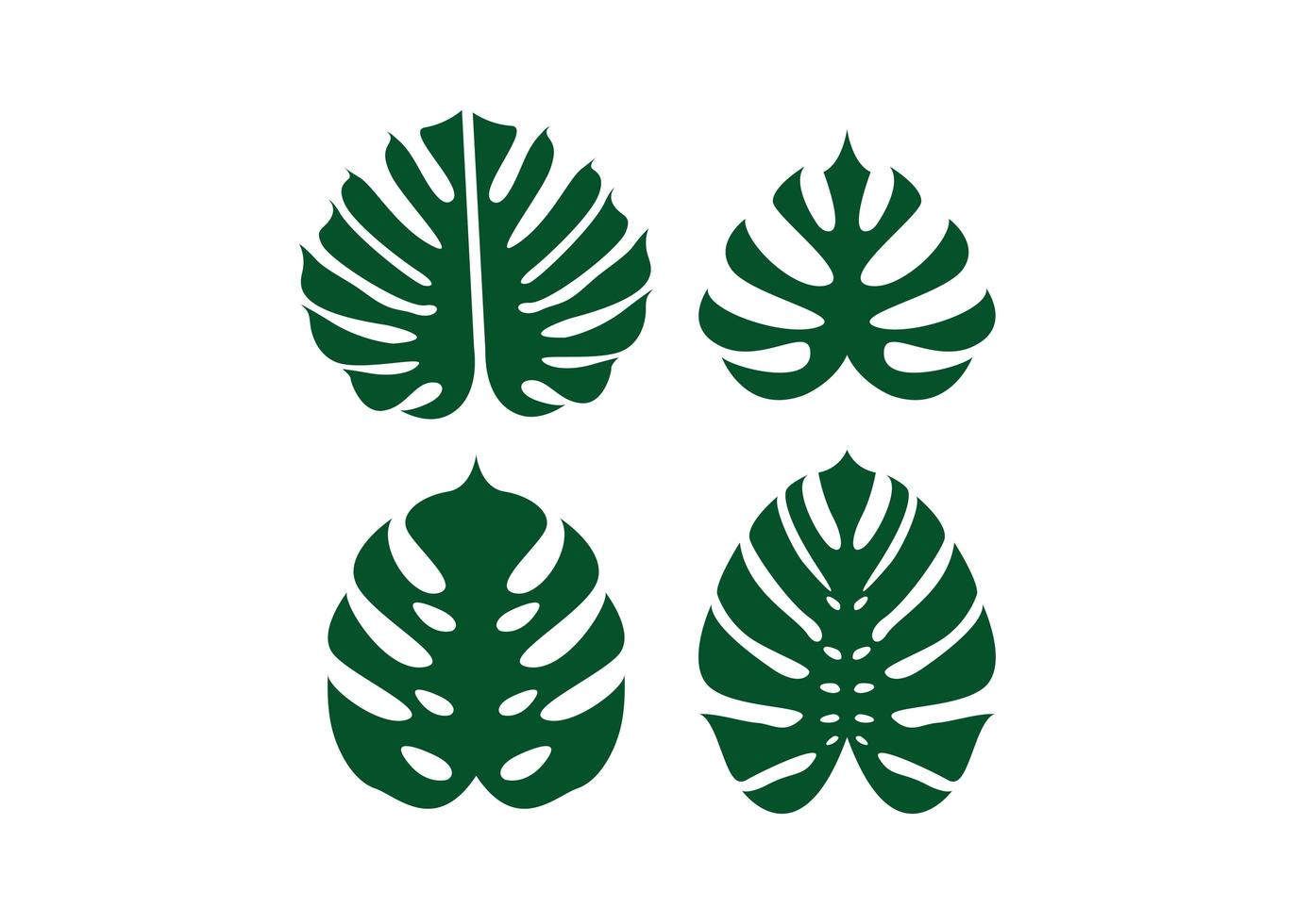 Monstera leaf icon design template vector isolated illustration