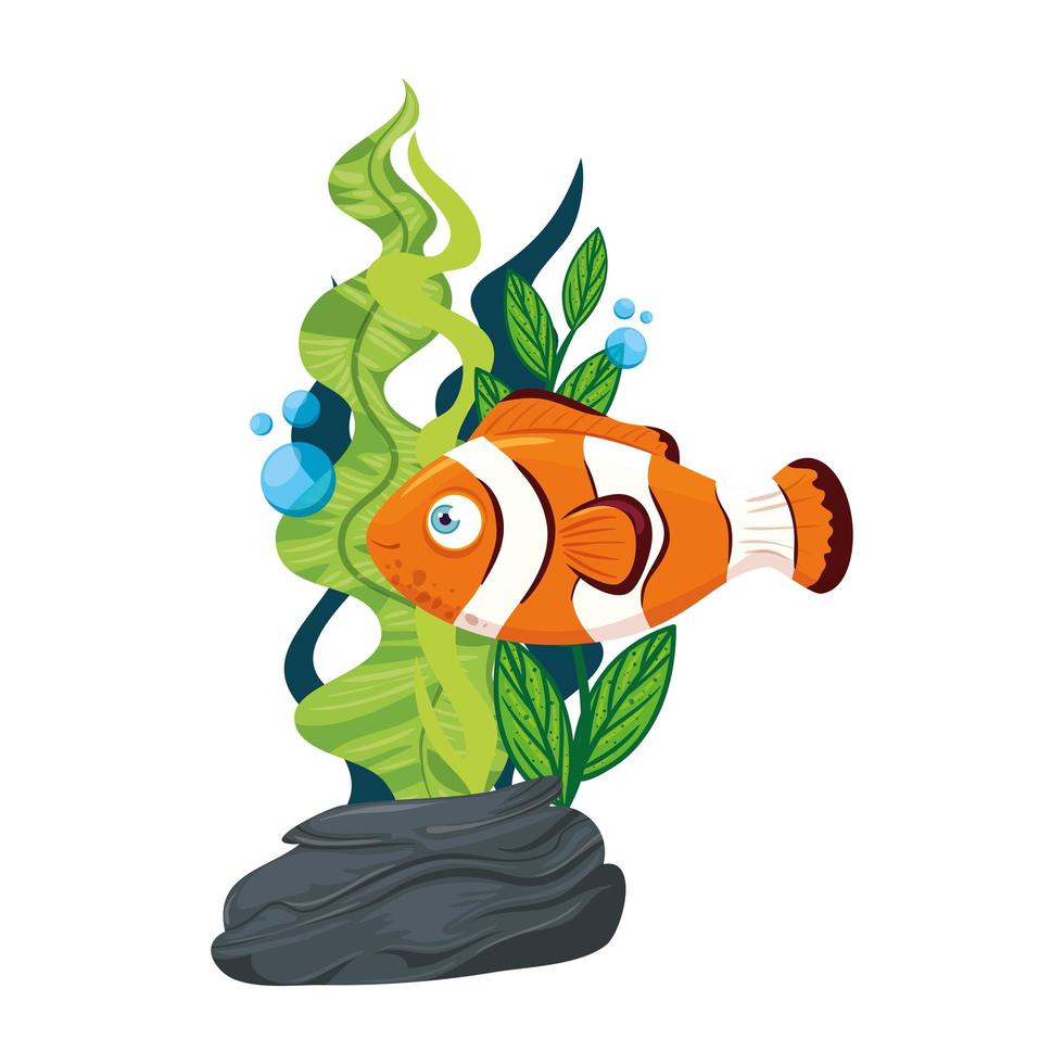 La vida submarina del mar, el pez anémona con algas, el pez payaso sobre fondo blanco. vector