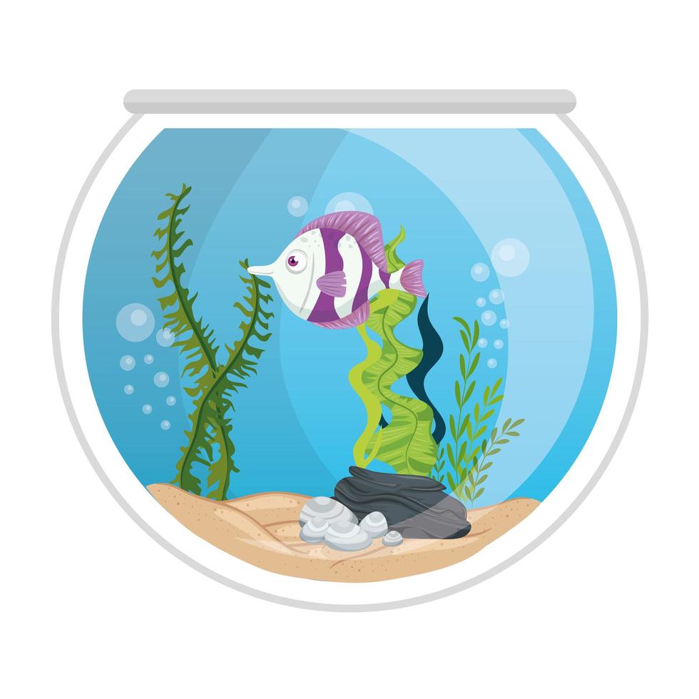 aquarium fish with water,seaweed, aquarium marine pet vector