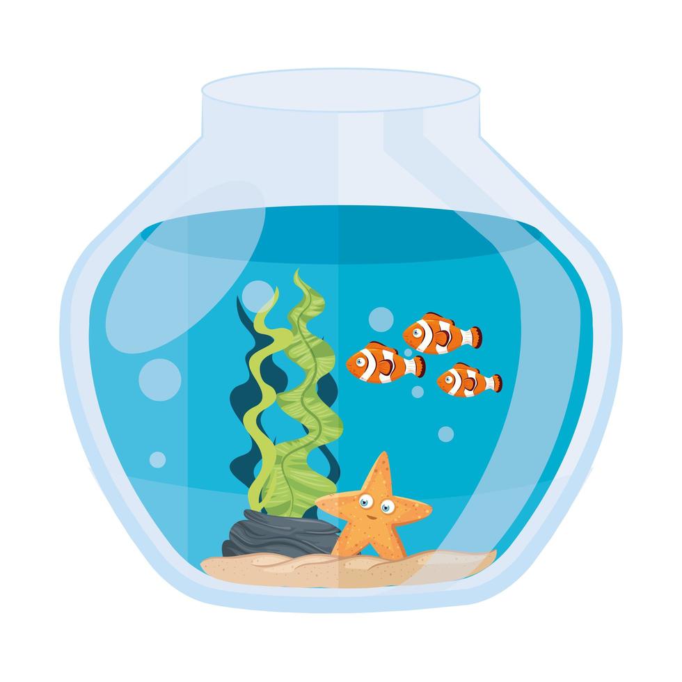 aquarium clownfish and starfish with water, seaweed, aquarium marine pet vector
