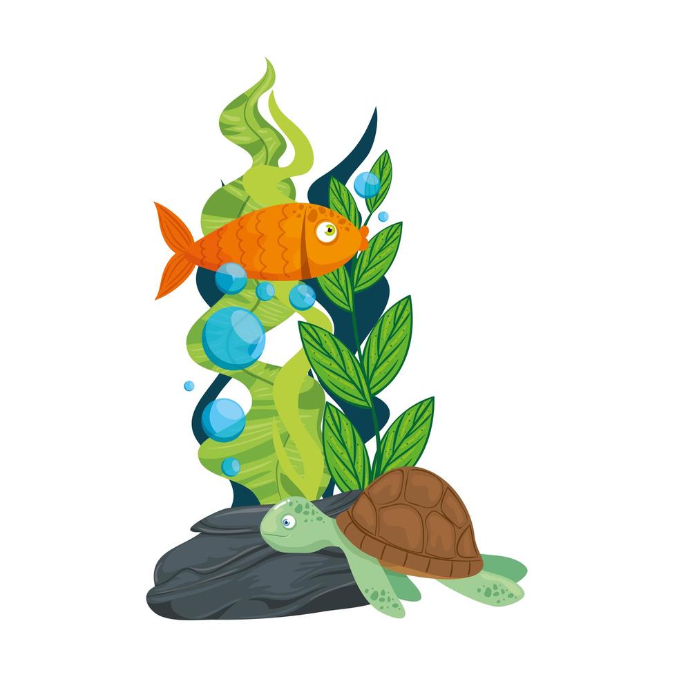 sea underwater life, tortoise and fish with seaweed on white background vector