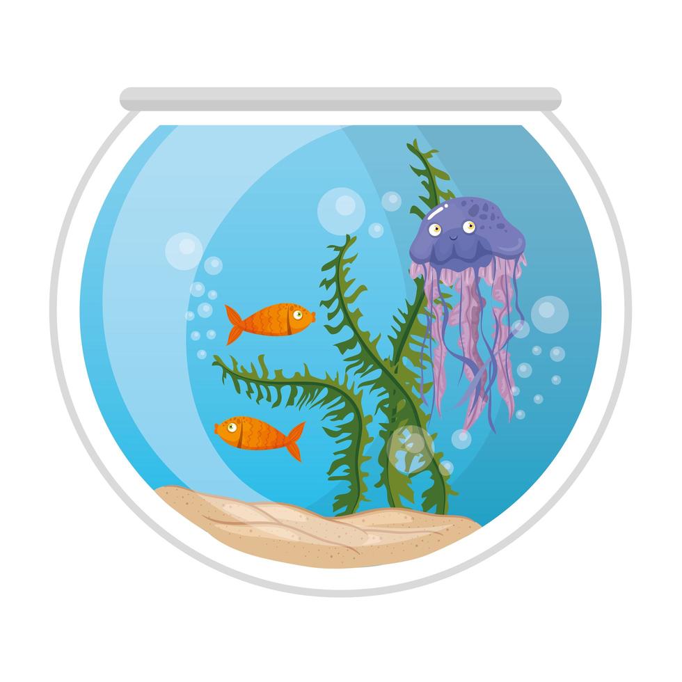 aquarium fishes and jellyfish with water, seaweed, aquarium marine pets vector