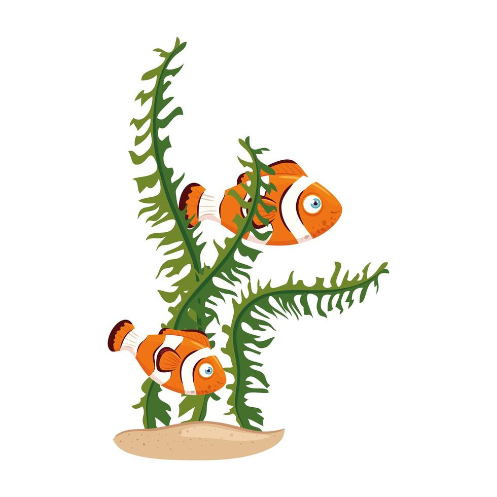 sea underwater life, anemone fishes with seaweed, clown fishes on white background vector