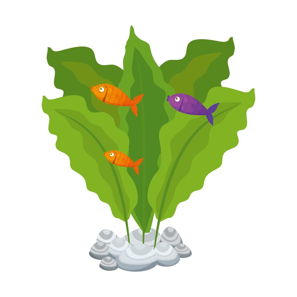 sea underwater life, fishes with seaweed on white background vector