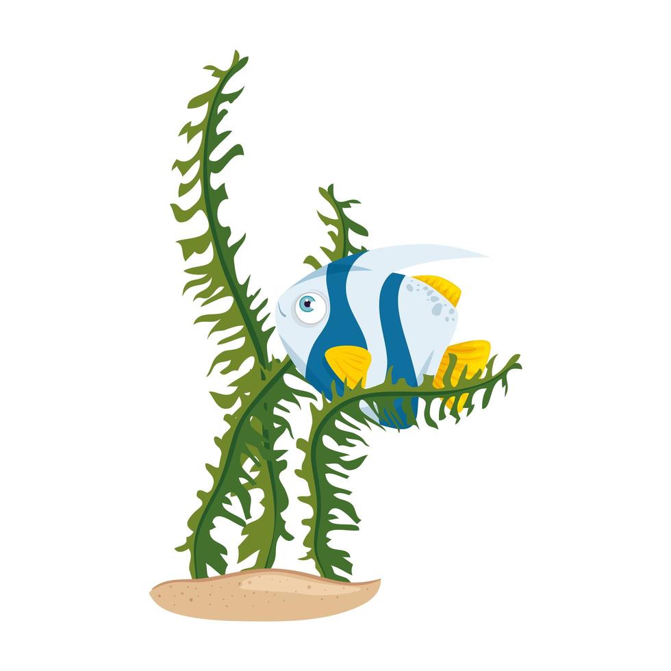 sea underwater life, cute fish with seaweed, on white background vector