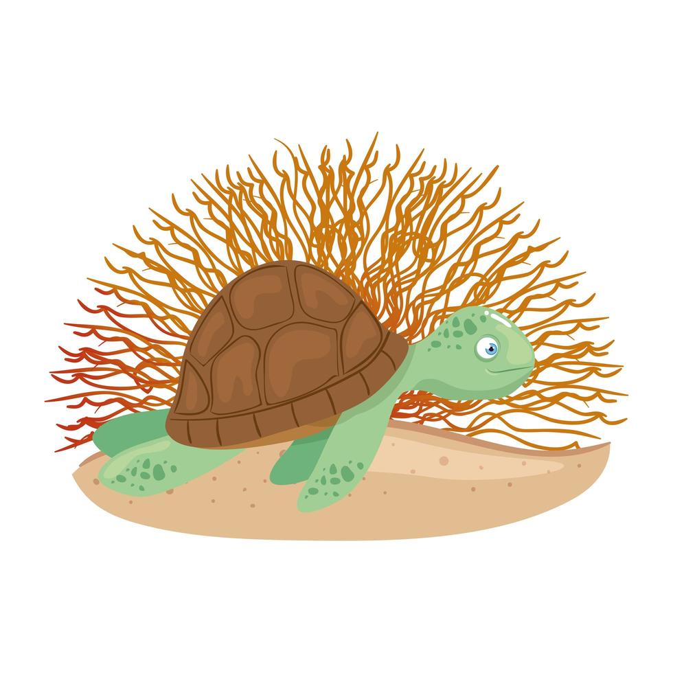 Vida submarina del mar, tortuga con coral sobre fondo blanco. vector