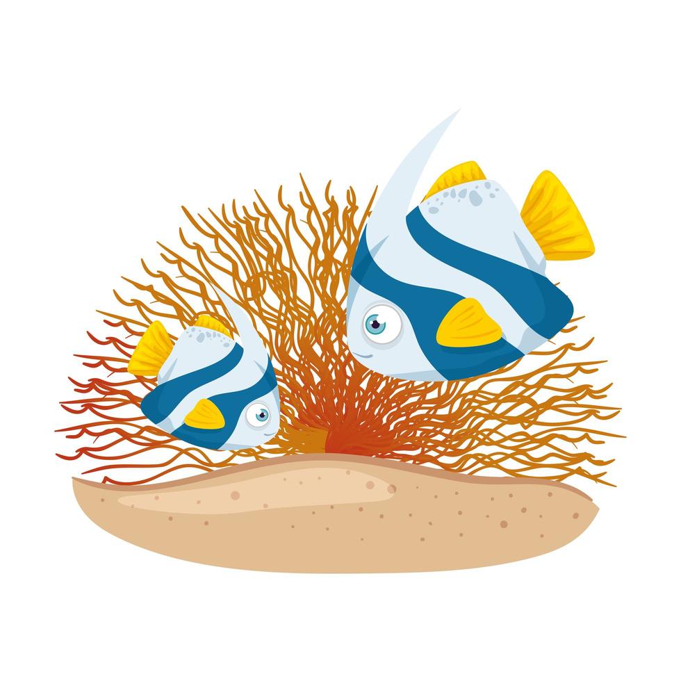 Vida submarina del mar, lindos peces con coral sobre fondo blanco. vector