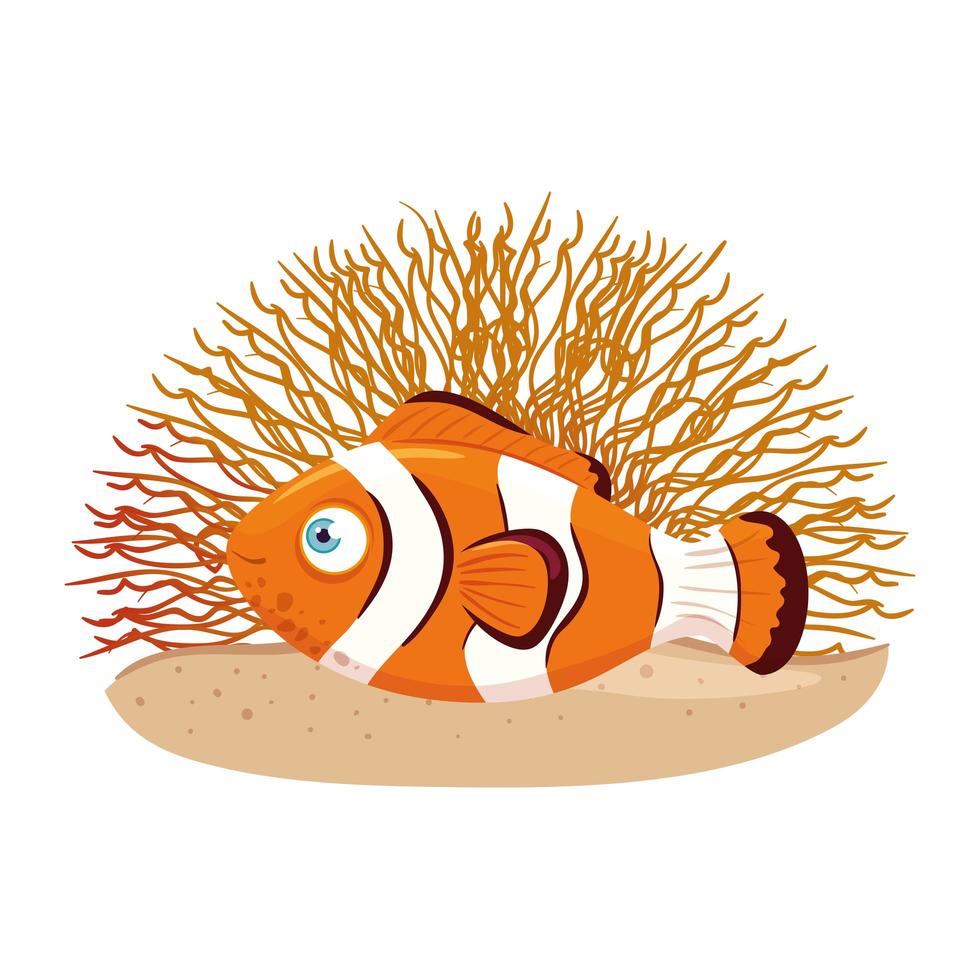 Vida submarina del mar, pez anémona con coral, pez payaso sobre fondo blanco. vector