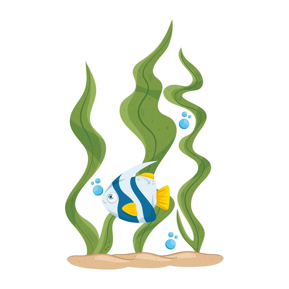 sea underwater life, cute fish with seaweed, on white background vector