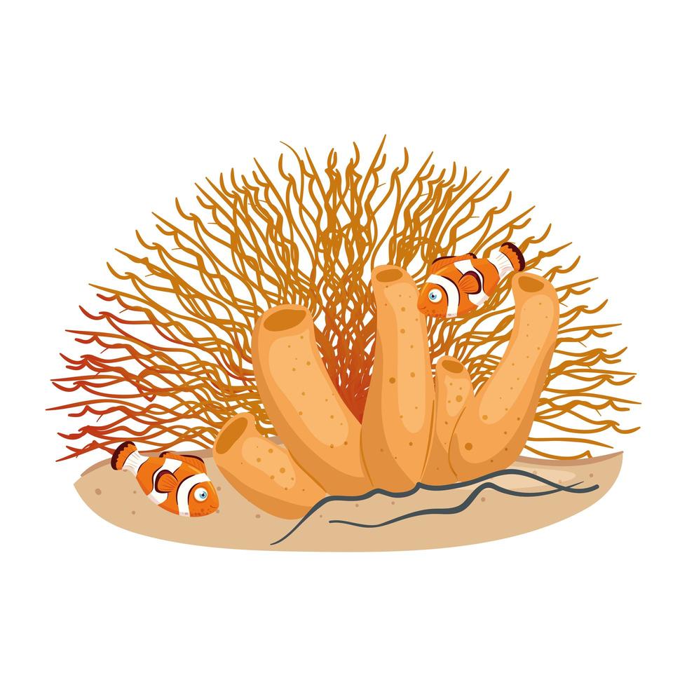 sea underwater life, anemone fishes with coral, clownfish animals on white background vector