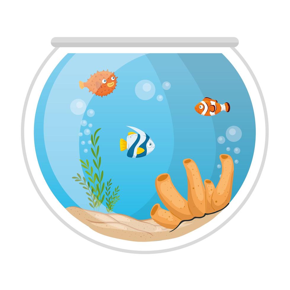 peces de acuario con agua, algas, corales, mascotas marinas de acuario vector