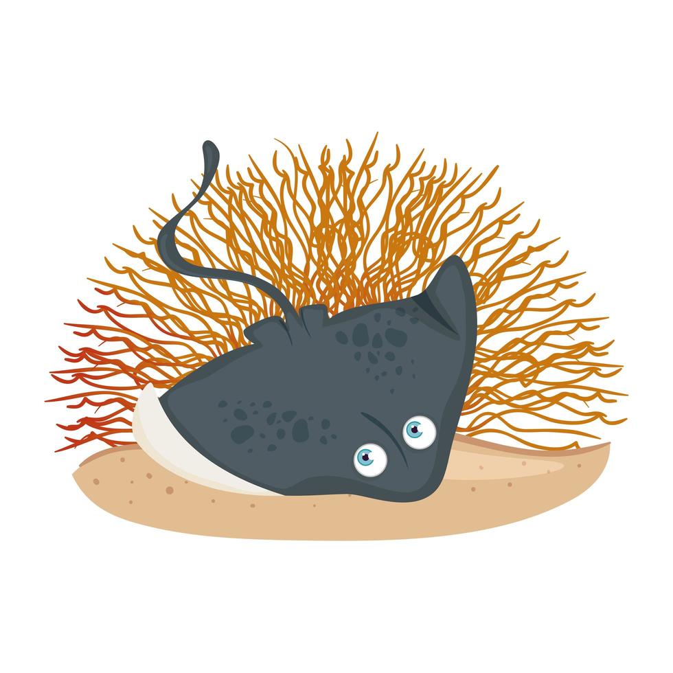 sea underwater life, stingray animal with coral on white background vector