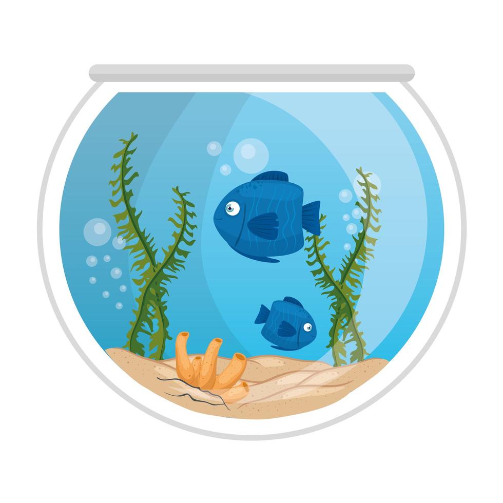 aquarium fishes with water, seaweed, aquarium marine pet vector