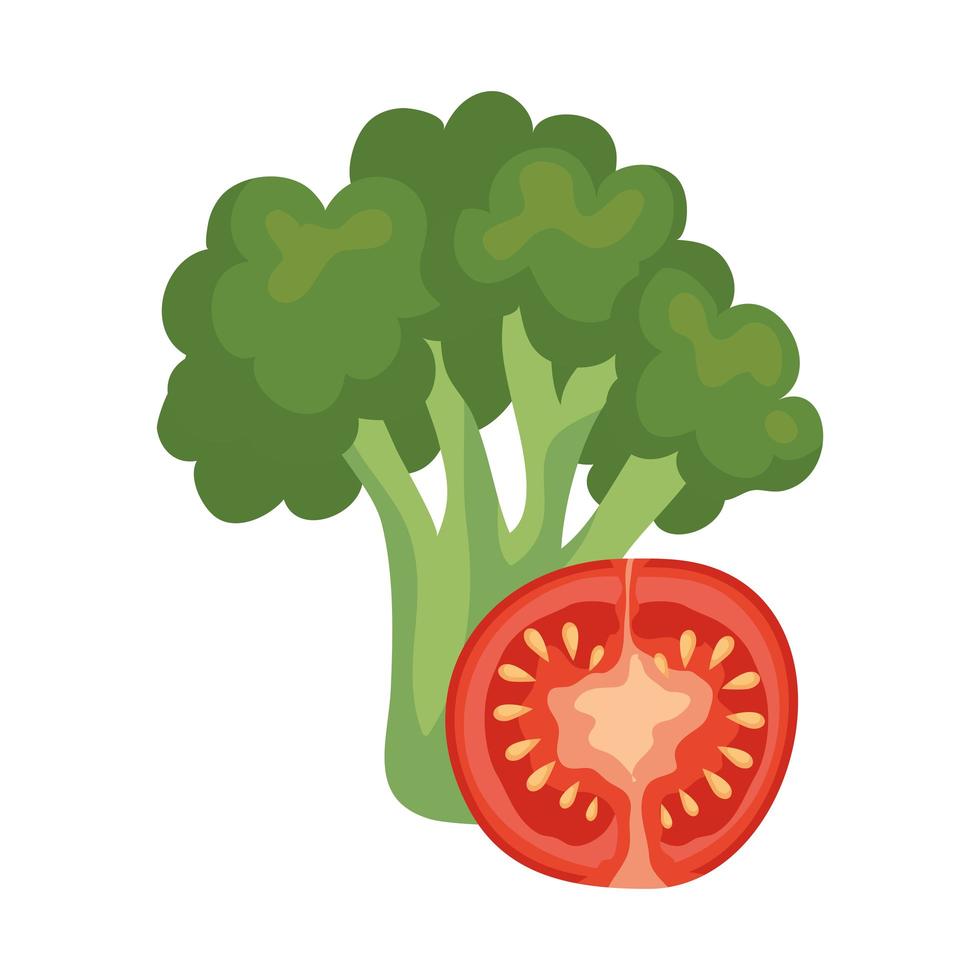 diseño vectorial de tomate y brócoli vector