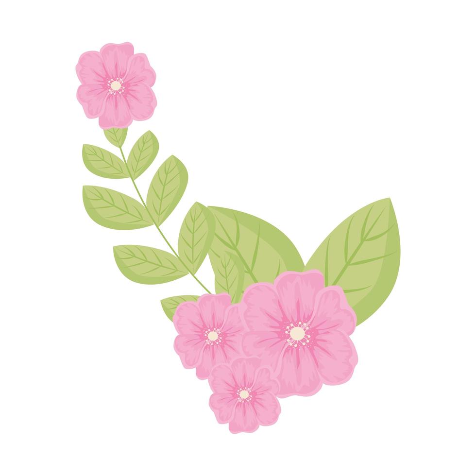 flores rosadas con hojas de diseño vectorial vector