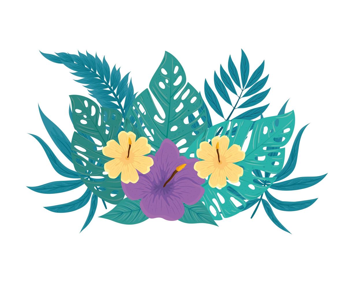 decoration of hibiscus yellow and purple color, with tropical leaves, spring summer botanical vector