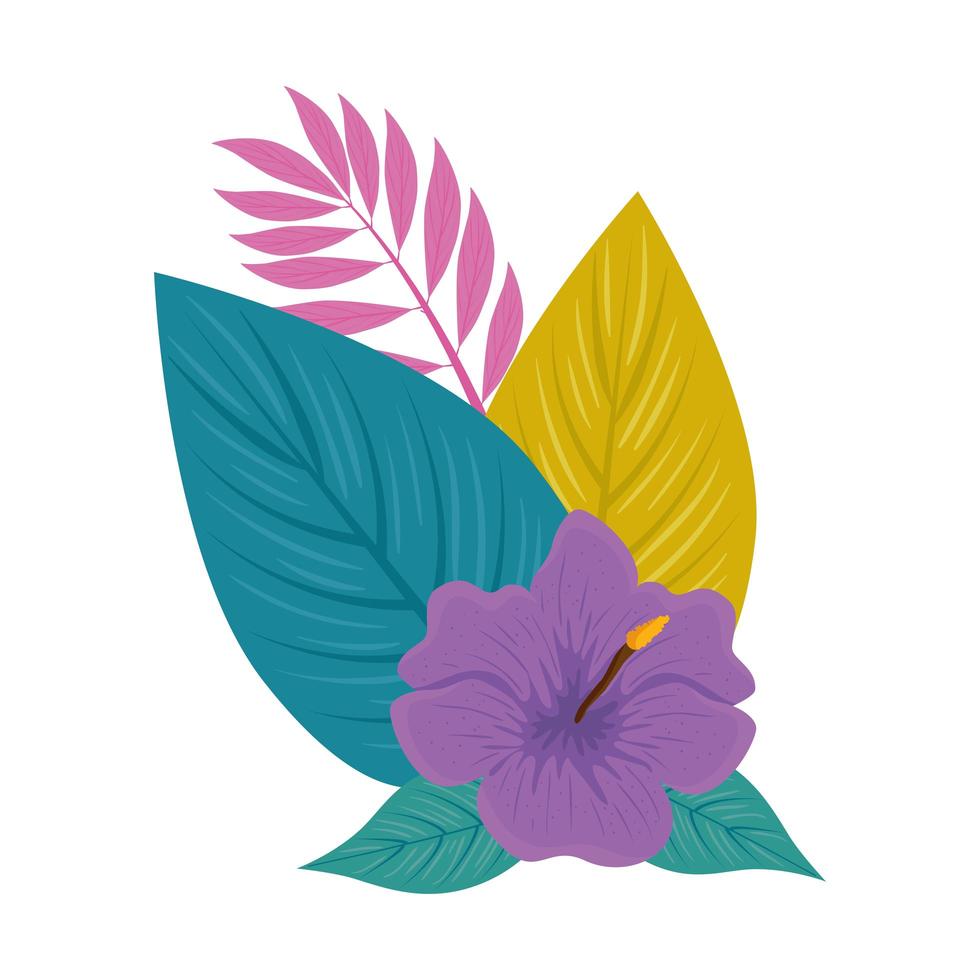 hibiscus beautiful purple color, with branch and tropical leaves, spring summer botanical vector