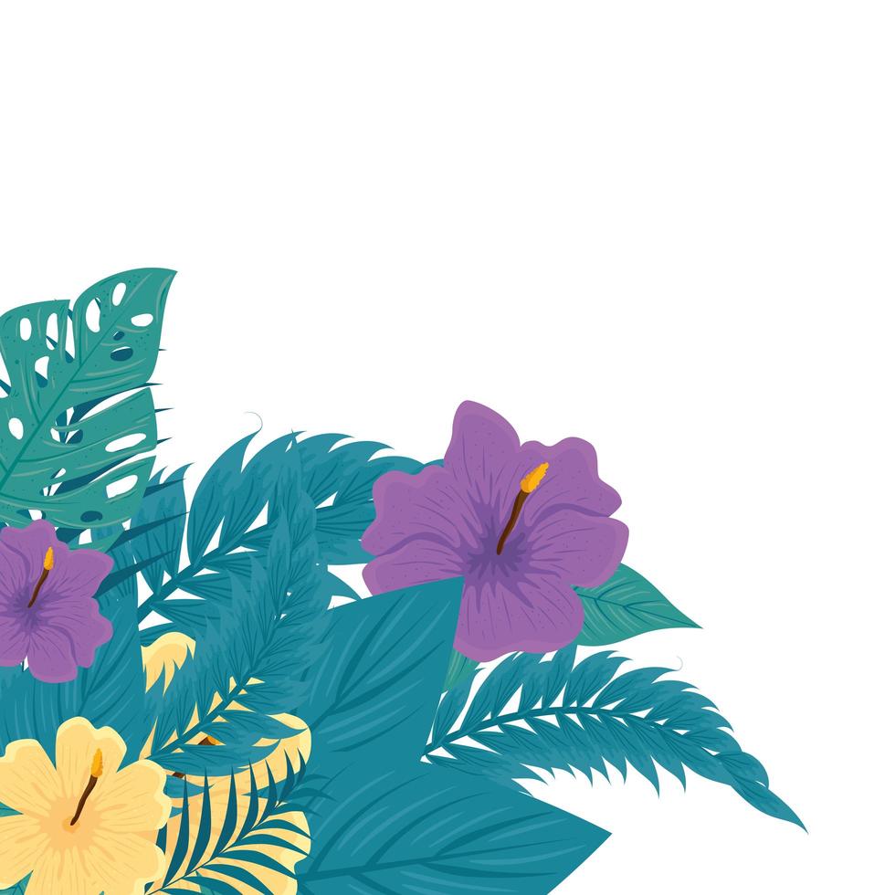 decoración de hibisco de color amarillo y morado, con hojas tropicales, botánica primavera verano vector