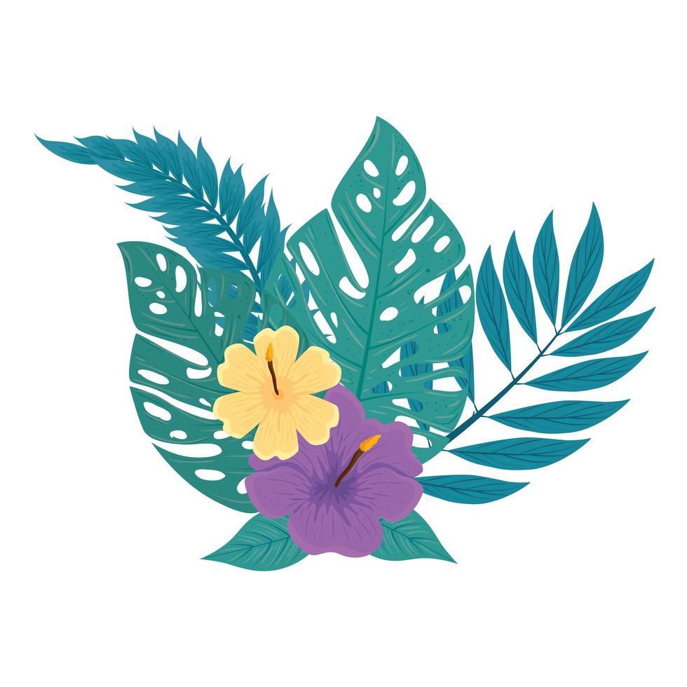 decoration of hibiscus yellow and purple color, with tropical leaves, spring summer botanical vector