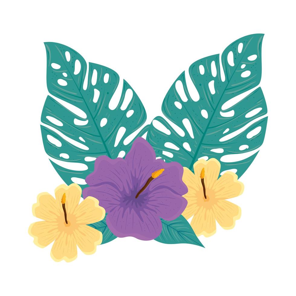 decoration of hibiscus yellow and purple color, with tropical leaves, spring summer botanical vector