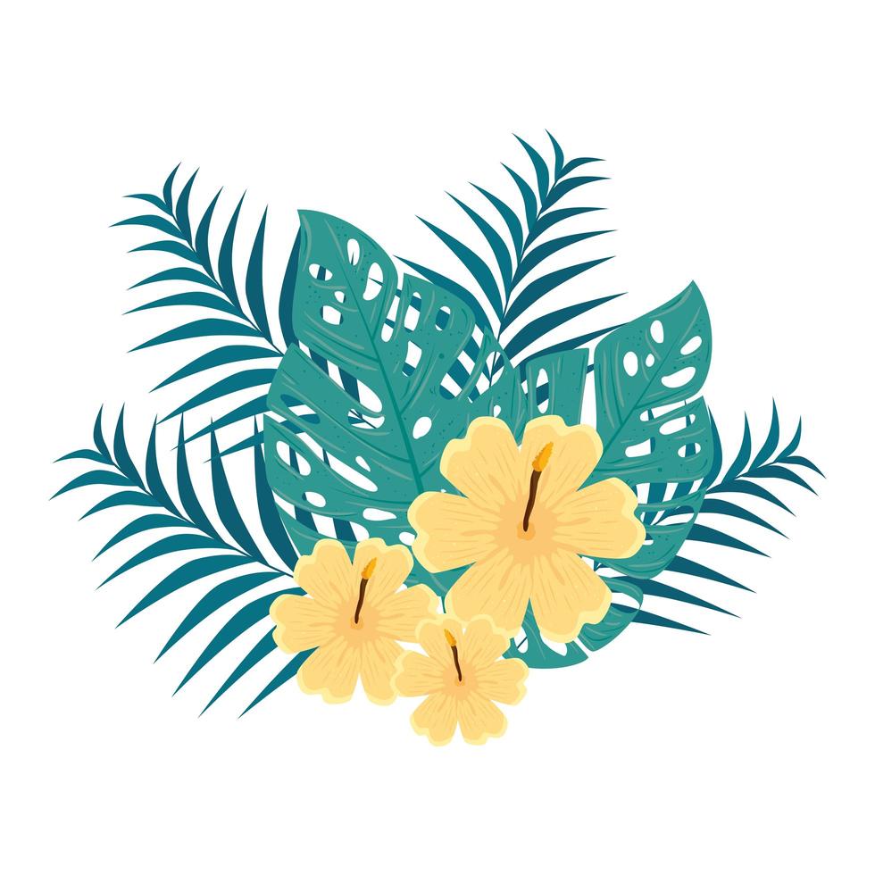 decoración de hibisco hermoso color amarillo, con ramas y hojas tropicales, botánica primavera verano vector