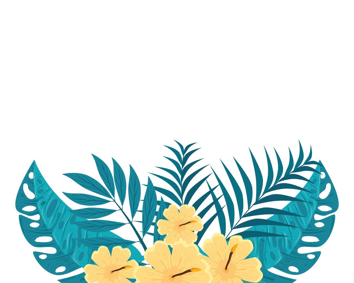 hibiscus decoration beautiful yellow color, with branches and tropical leaves, spring summer botanical vector