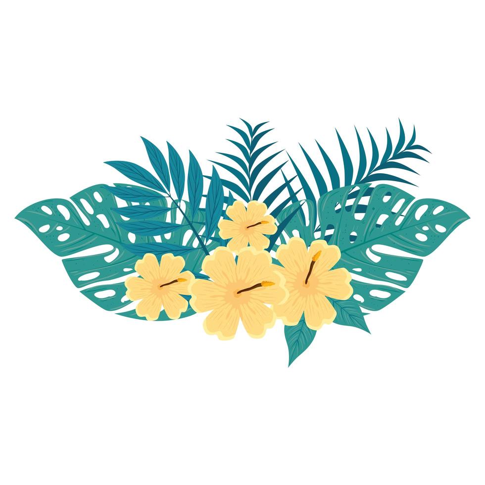 hibiscus decoration beautiful yellow color, with branches and tropical leaves, spring summer botanical vector