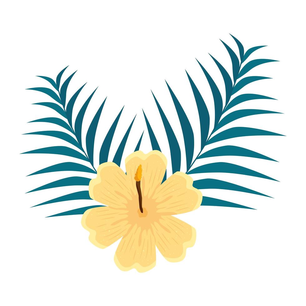 hibiscus beautiful yellow color, with branches and tropical leaves nature, spring summer botanical vector