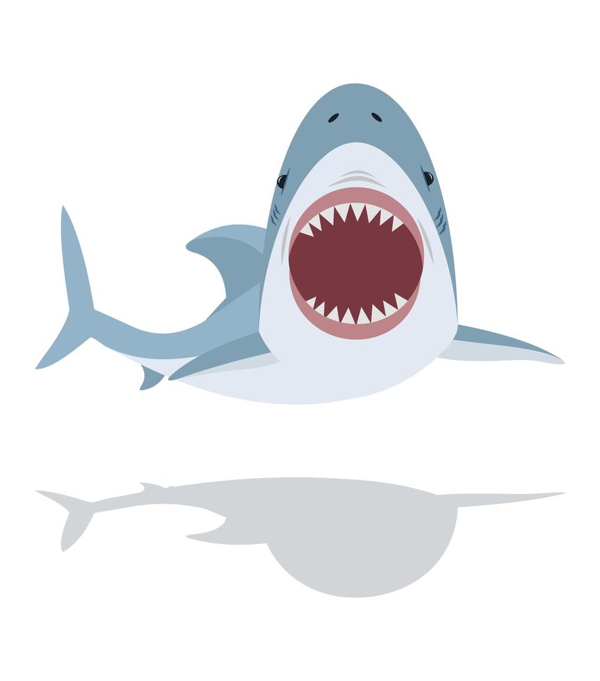Cute flat Shark open mouth and teeth vector