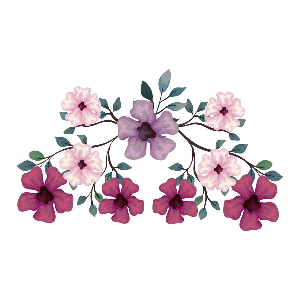 flowers purple, pink and lilac color with branches and leaves, on white background vector