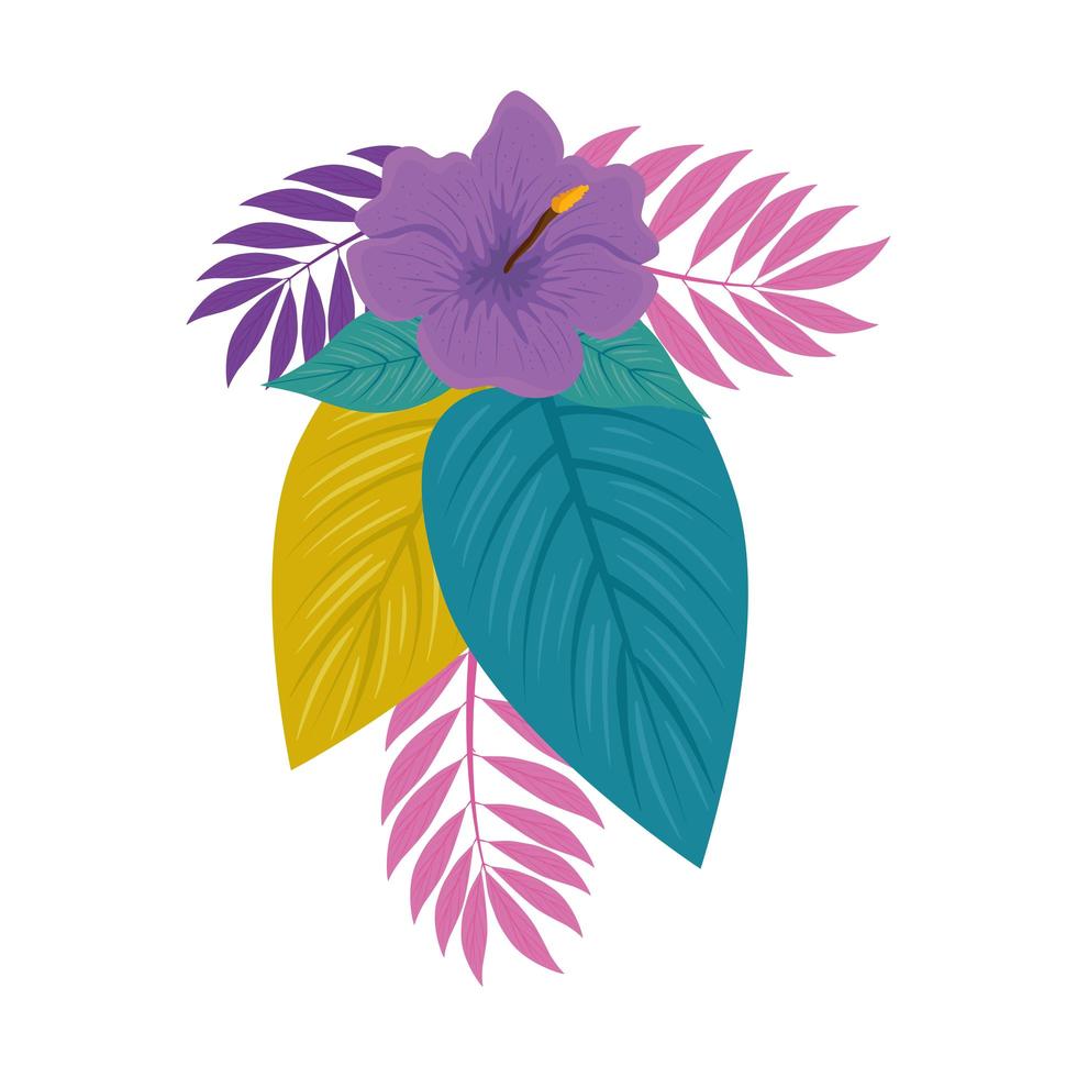 hibisco hermoso color púrpura, con ramas y hojas tropicales, botánico primavera verano vector