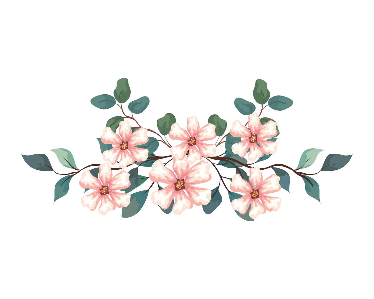 flowers with branches and leaves, on white background vector